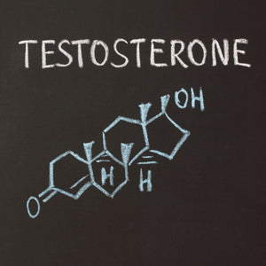 5 Ways Testosterone Enhances Health & Well-Being - Apollon Nutrition