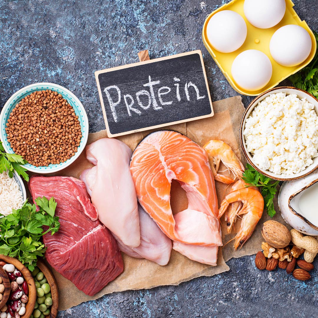 Are High Protein Diets Harmful to Kidneys? - Apollon Nutrition