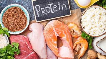 Are High Protein Diets Harmful to Kidneys? - Apollon Nutrition